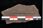 Foto (Detailansicht) von Pinus palaeostrobus Ettingshausen (NHMW-GEO-2024-0188-0212)